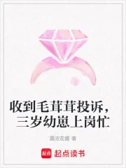 《收到毛茸茸投诉，三岁幼崽上岗忙》小说封面