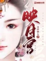 《映月宫》小说封面