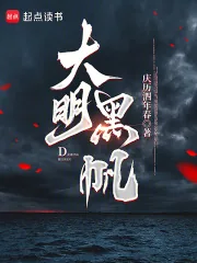 《大明黑帆》小说封面