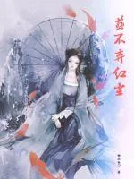 《燕不弃红尘》小说封面